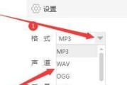 视频转换成MP3格式的简单方法（一键实现视频转MP3）