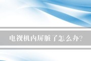 电视机生锈怎么办（解决电视机生锈问题的简单方法）