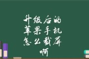 四种方法轻松实现iPhone手机长截屏（掌握这些技巧，你再也不用担心长网页截图了！）