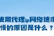 为什么网络变慢了（深入分析网络速度下降的原因和解决办法）