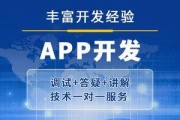 揭秘App设计开发公司的独特魅力（探索现代科技与创新的完美融合）