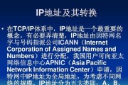 IP地址划分依据的全面解析（深入了解IP地址划分的原理和应用）