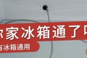 冰箱通孔堵了的应对方法（解决冰箱通孔堵塞问题的有效措施）