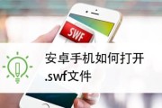 了解MXF文件格式的特点和应用领域（MXF文件格式的定义、优势和适用范围）