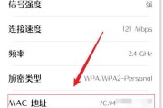 电脑MAC地址信息查询方法（快速了解和查看电脑MAC地址的方法）