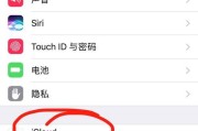 iPhone遇到无法连接服务器问题解决方法（如何应对无法连接服务器的问题）