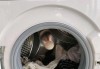 用白醋白糖清洗洗衣机，保证洗衣效果如新（简单而有效的洗衣机清洁方法）