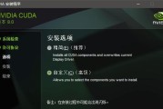 解决Win10安装NVIDIA无法继续安装的问题（详解NVIDIA驱动安装失败的解决方法与注意事项）