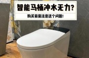 东鹏马桶冲水无力的原因及解决方法（马桶冲水无力的可能原因和简易修复技巧）