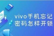 vivo手机密码解除方法详解（忘记vivo手机密码怎么办）