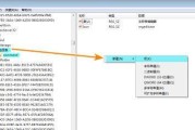 如何调出电脑注册表——一步步学会操作方法（快速了解电脑注册表的作用和使用技巧）