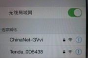 WiFi连接正常却无法上网的原因解析（探究WiFi连接无法上网的几种常见原因及解决办法）