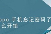 如何快速试出手机密码（有效的方法和技巧帮助您快速解锁手机密码）