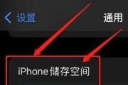 如何有效清理苹果手机内存空间（提升手机性能）