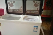如何合理处理废弃洗衣机外壳（环保回收利用的关键步骤）