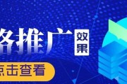 网络推广技巧（掌握关键方法）