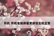 电脑不开机的原因分析与解决方法（详解电脑无法正常启动的各种可能性及应对措施）