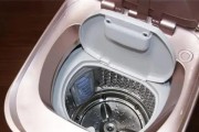 如何正确清洗洗衣机垫圈（简单易行的清洗方法）