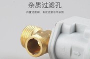 解决净水器冷水阀漏水问题的方法（净水器冷水阀漏水修理指南）