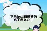 iPad忘记密码怎么办？如何快速重置密码恢复使用？