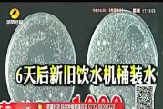 饮水机无细菌的处理方法（保障您饮水安全的实用技巧）