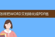 电脑pdf是什么格式怎么弄（介绍pdf文件的格式）