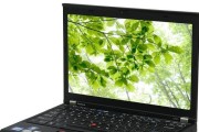 ThinkPadX220i笔记本如何更换风扇？（详细步骤教你轻松更换ThinkPadX220i笔记本风扇）