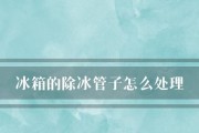 冲洗冰箱管道的正确方法（保持冰箱清洁和延长使用寿命的关键）