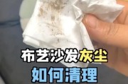 晚上手机拍照时灰尘多怎么清理？