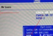 U盘启动项无法启动问题的解决方法（如何处理设置了U盘启动项却无法启动的情况）