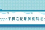 苹果手机忘记锁屏密码解锁教程（轻松解锁苹果手机，忘记密码不再烦恼）