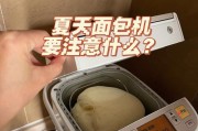 如何正确使用烤面包机（全面掌握烤面包机的使用技巧）