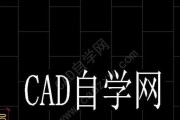 使用CAD引线实现文字沿引线排列的技巧（让你的文字在CAD中更加生动立体）