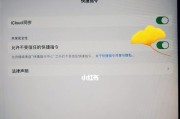 通过iPad浏览器，享受无处不在的网页浏览乐趣（打开iPad浏览器，畅游互联网世界）