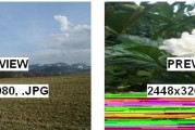 将CR2文件转换为JPG格式的简便方法（快速）