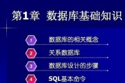 SQL数据库基础知识解析（探索SQL数据库的核心概念与应用技巧）