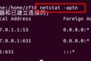 使用telnet测端口命令来检测网络连接状态（telnet测端口命令的使用方法及作用）