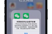 苹果手机微信分身指南（掌握微信分身功能，让生活更便利）