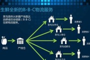 探析B2B2C模式下的电商平台创新（深入剖析电商平台的商业模式及发展前景）