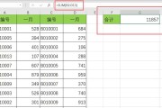 如何使用Excel竖列自动求和快捷键？表格求和技巧有哪些？