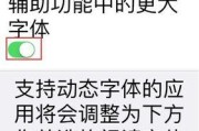 如何在iPhone上修改字体（详细教程教你一步步修改iPhone字体）