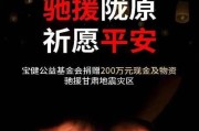 宝健破壁机故障解决方法（全面了解宝健破壁机故障及其修复技巧）