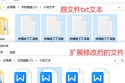 如何更改文本文档的后缀名字？更改后缀名有哪些注意事项？