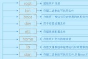 Linux命令大全新手入门（快速掌握Linux命令）