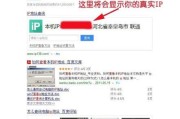 如何查看我的IP（轻松了解你的网络身份信息）