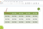 WPS表格加斜线一分为二的方法是什么？操作步骤详细解答？