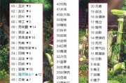 以110版本女漫游最强搭配探讨（打造无敌团队合作）