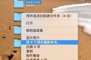 如何批量重命名图片文件001到100（简单方法教你批量重命名图片文件的步骤）