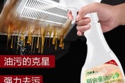 家用油烟机清洗技巧（解决家用油烟机油污问题的实用方法）