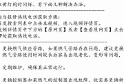 壁挂炉闪红灯问题解决方法（了解壁挂炉闪红灯原因）